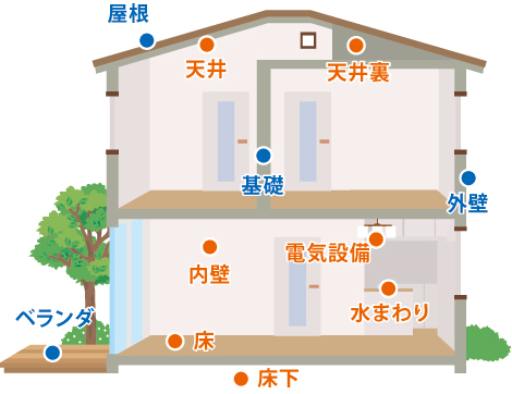 調査箇所 調査箇所