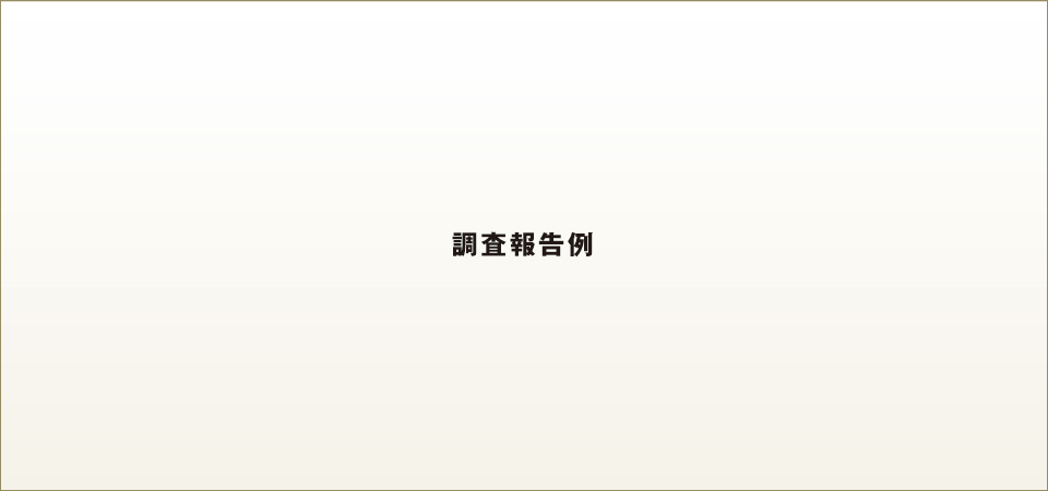 調査報告例 調査報告例